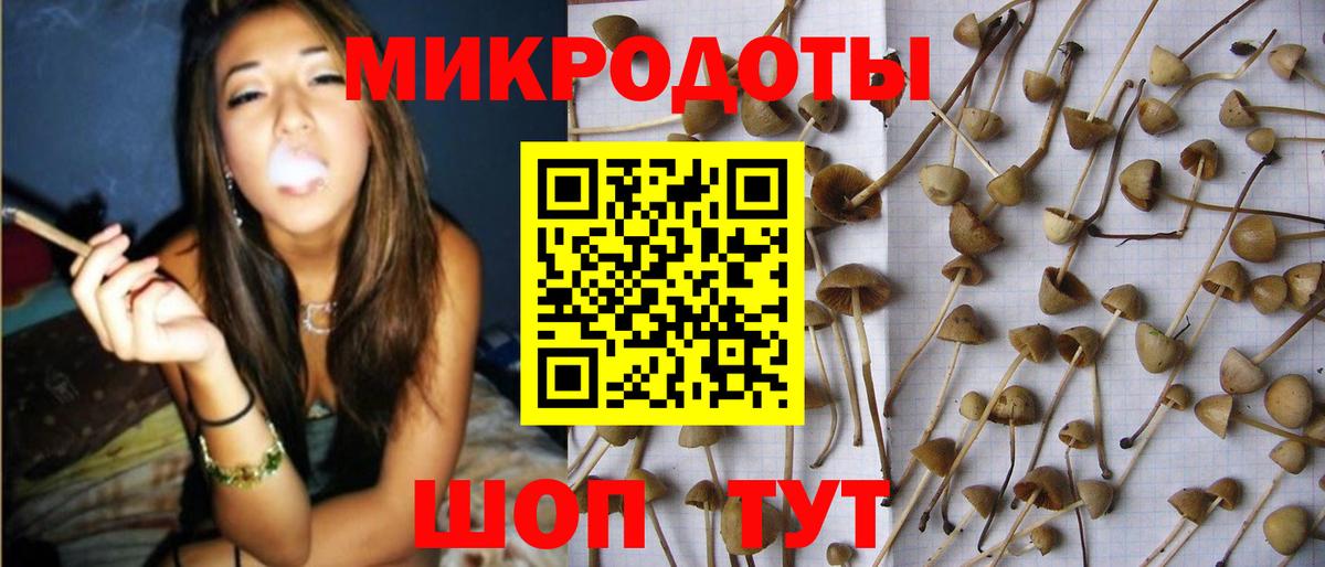 Псилоцибиновые грибы GOLDEN TEACHER  Галлюциногенные грибы прущие грибы  Зеленогорск  Вход с VPN 